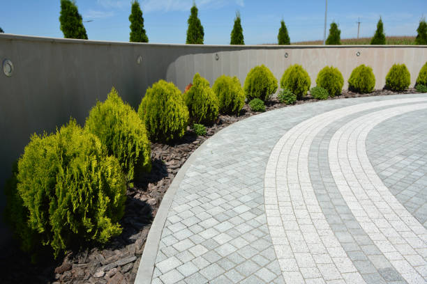 Best Driveway Pavers Cost  in Woodbury, TN
